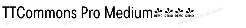 TTCommons Pro Medium字体转换